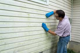 Best Custom Trim and Detailing for Siding  in Marysville, PA